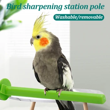 10Pcs de Plástico Pet Loro Pájaro Permanente de la Plataforma de Rack de Toy Stand de Baño con Ducha Perchas de Succión de la Pared de la Copa de Aves Juguetes Accesorios