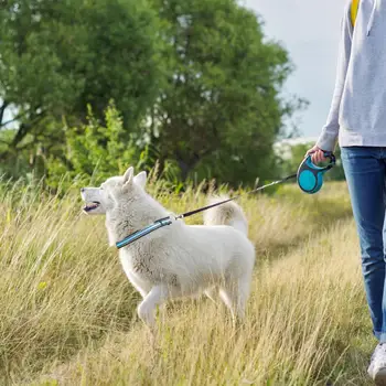 Eco-friendly Gato Cachorro Collar del Collar de la Mascota de Tracción de Cuello Ajustable Evitar Romper Pequeños Perros Grandes Gato Collar